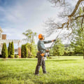 Expert Tips For Choosing The Best Tree Trimming Services In Lubbock, TX