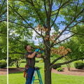 The Difference Between Structural Pruning and Cosmetic Trimming