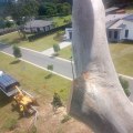Tree Trimming Considerations for Homes With Complex Electrical Layouts