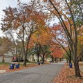 What Makes A Tree Care Solutions Company The Best Choice For Tree Trimming In Johnson City
