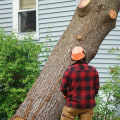 Why Tree Removal Costs So Much