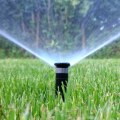 Preparing Your Yard For Residential Irrigation System Installation With Proper Tree Trimming In Northern VA