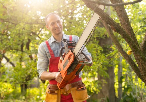 Why Tree Trimming Matters: Enhancing Safety And Aesthetics In Chilliwack, BC