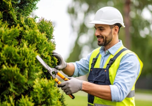 How Professional Tree Trimming And Fencing Companies Boost Curb Appeal In Portland