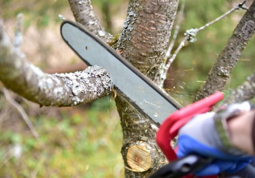 Is it cheaper to cut or prune a tree?