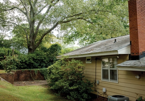 How Mature Trees Influence Long-Term Exterior Property Conditions