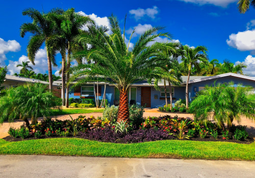 Transform Your Landscape With Professional Tree Trimming In Pembroke Pines, FL