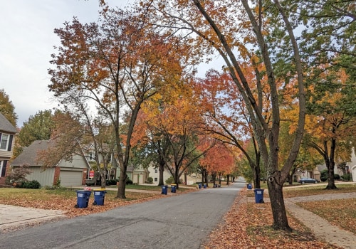 What Makes A Tree Care Solutions Company The Best Choice For Tree Trimming In Johnson City